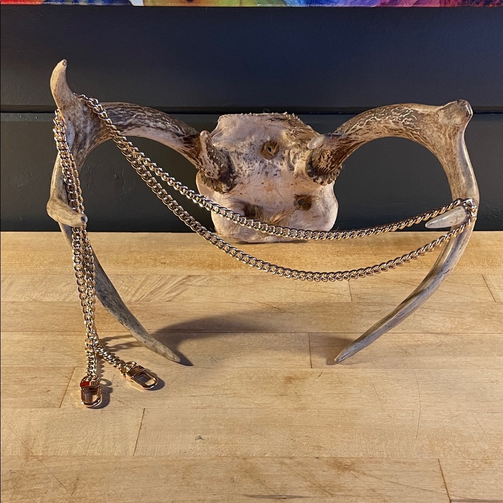 Gold tone Chain Crossbody Strap!